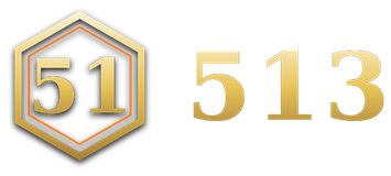 513 logo
